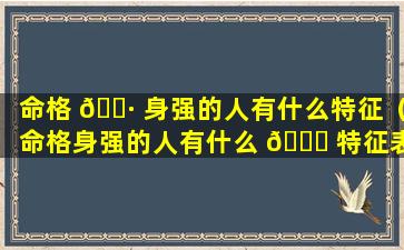 命格 🕷 身强的人有什么特征（命格身强的人有什么 🐞 特征表现）